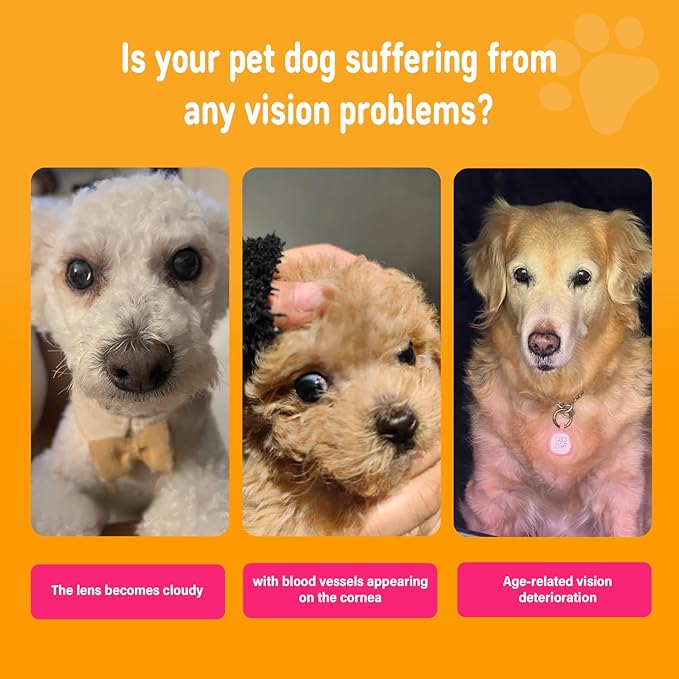 Eye Supplements for Dogs - Vision Support Soft Chews with Lutein, DHA & Vitamin C | 120ct Salmon Flavor Tear Stain Chews | Cataract & Dry Eye Relief Supplement (120 Ct, Salmon)