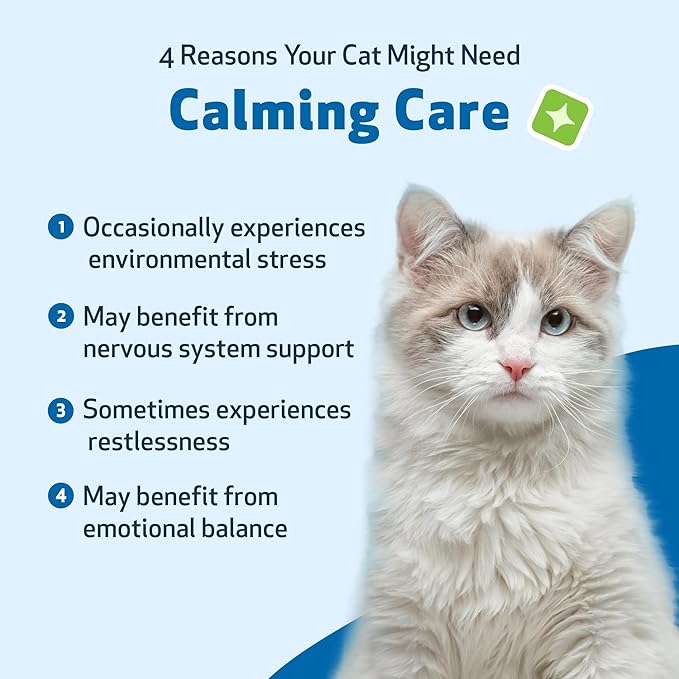 Pet Wellbeing Calming Care for Cats - Veterinarian-Formulated - Calm Support, Relaxed Nervous System, Emotional Balance, Adaptogens - Herbal Supplement 4 oz (118 ml)
