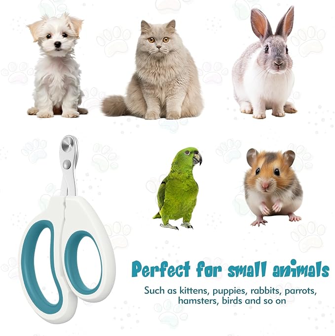 Cat Nail Clipper, Durable Stainless Steel Cat Nail Trimmer with Sharp Blade and Anti-Slip Handle, Professional Small Animal Claw Clippers for Cats Kittens Dogs Rabbits Guinea Pigs