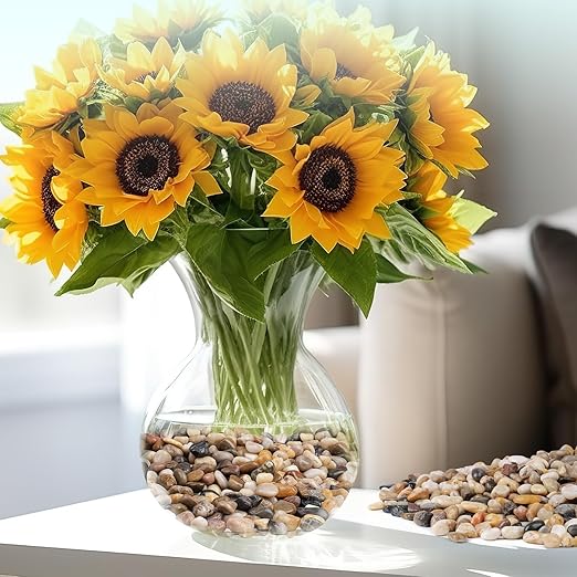 10 lbs Pebbles for Indoor Plants, Vase, Succulent, 3/8" Gravel for Plants, Pots Indoor, Bamboo Rocks for Bamboo Plants, Decorative Small River Rock, Highly Polished