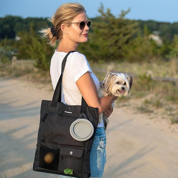 Park Pack 2-Piece Set Dog Gear Tote – Dog Travel Bag with 8 Pockets, Treat Pouch, Poop Bag Dispenser, Quick-Dry Ball Pocket, Collapsible Bowl, Perfect for Walks & Park Trips, Graphite