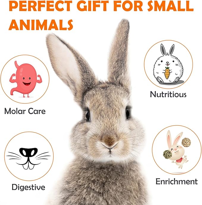Sofier 28Pcs Timothy Hay Treats Rabbit Toys Bunny Toys Guinea Pig Natural Handmade Treats and Chews for Small Animals Hamster Chinchilla Rat Gerbil