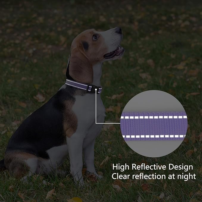 Reflective Dog Collar Padded with Soft Neoprene Breathable Quick Release Basic Dog Collars for Medium Dogs Purple Girl