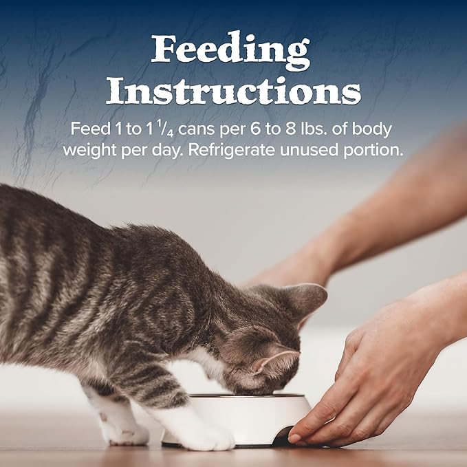 Blue Buffalo Wilderness Wild Delights Minced Wet Cat Food, High-Protein & Grain-Free, Made with Natural Ingredients, Chicken & Trout Recipe in Tasty Gravy, 5.5-oz. Cans (24 Count)
