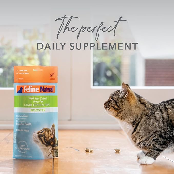 Feline Natural Freeze Dried Lamb Green Tripe Cat Food Supplement - Grain-Free High Protein Natural Topper - 2 Oz Grass Fed Beef Freeze Dried Cat Treats