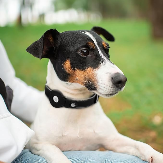 OOPSDOGGY Reflective Geniune Leather Airtag Dog Collar Soft Padded Collars for Small Medium Large Breed Dogs Puppy, 4 Sizes, 7 Colors (Black, Large, 15"-19")