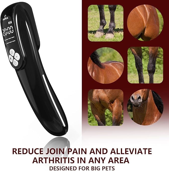 Cold Laser Therapy Device for Horse, Portable Red Light Therapy with 4pcs 808nm and 12pcs 650nm, Near Infrared Laser for Arthritis Pain Relief- Electrical Stimulation for Tendon, and Ligament Recover