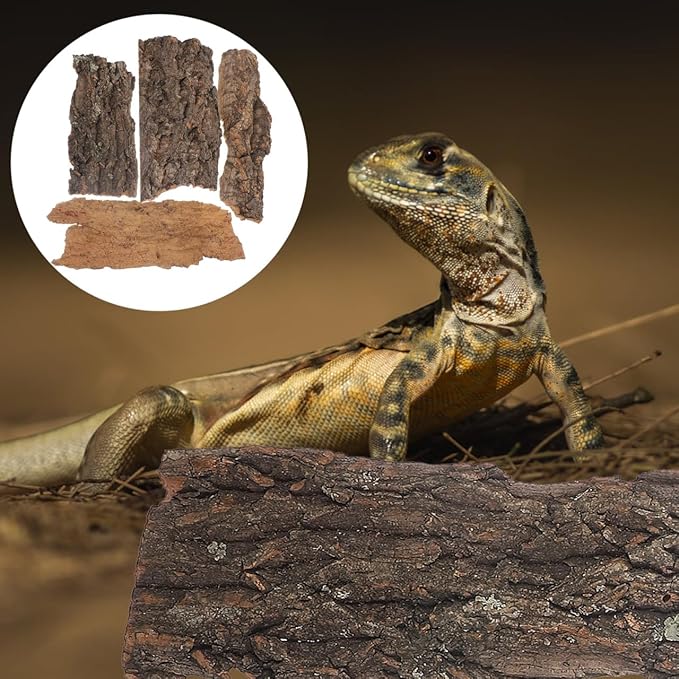 Amosfun 4pcs Reptile Bark Cork Wood Bark Decor Cork Flat Bedding for Bearded Dragon Lizard Geckos Tortoise, Random Size 3.2 to 5.5Inch