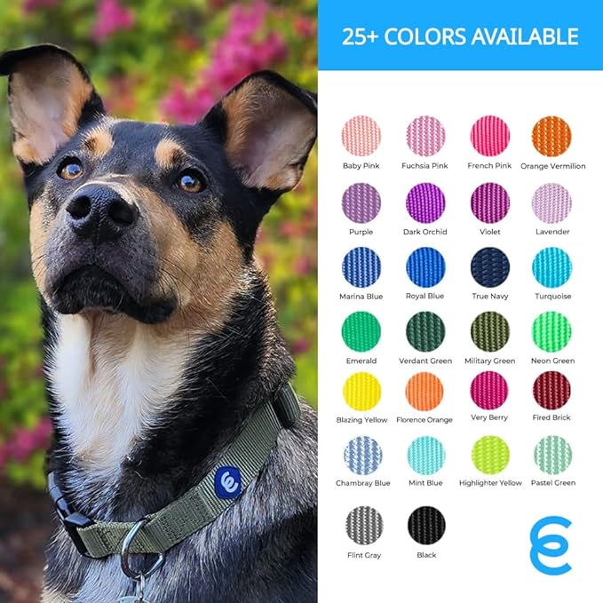 Blueberry Pet Essentials Small Dog Collar in Neon Green | Adjustable & Eco-Friendly Durable Nylon Strap | Classic Collar for Small Dogs, Boy & Girl Pets