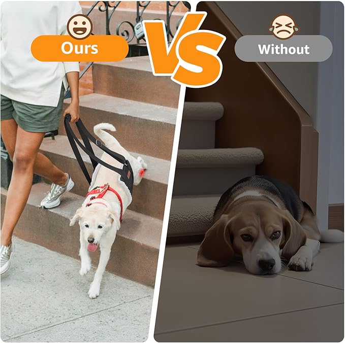 Adjustable Dog Lift Harness, Dog Sling for Large Dogs Lift Support and Rehab Harness for Weak Rear Legs, Soft Hind Leg Support Helps Senior, Injured, Disabled and After ACL Surgery Dogs(Black,Medium)