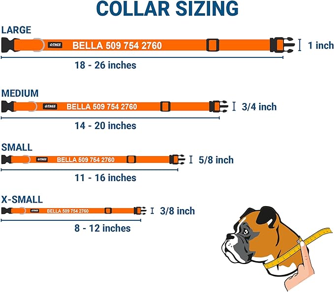 GoTags Personalized Dog Collar with Nameplate, Adjustable Dog Collar with Custom Engraved Slide On Pet ID Tag in Stainless Steel, Silent, No Noise Dog Tag for Large Medium and Small (Orange, Small)