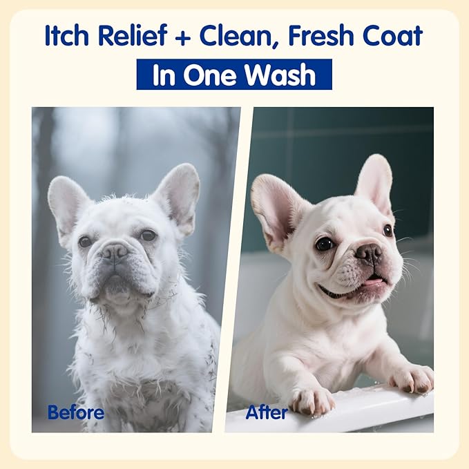 Unipaws Probiotic Dog Shampoo for Short-Haired Coats – Itch Relief, Deodorizing & Hydrating for Healthy, Fresh Skin with Calendula & Oatmeal – EWG Green & White Tea Scent, Made in Korea, 16.9 Fl Oz