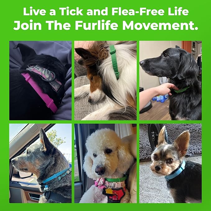 FurLife Flea and Tick Collar for Dogs – Waterproof Black Dog Collar, Pet Supplies for Tick and Flea Prevention for Dogs, Safe for All Breeds