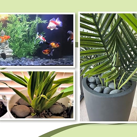 7LB River Rocks,Mexican Beach Pebbles for Plants,Potting,Garden Landscape Stone Paving Stone Grey 1Inch - 2Inch