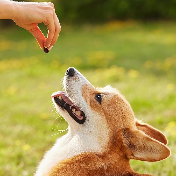 1TDC WorksSoWell Dual Action Joint Supplement for Dogs & Cats - Hip and Joint Supplement for Large Breed & Small Breed - Also Great for Oral Health - Muscle & Stamina Recovery & Arthritis - 30ct