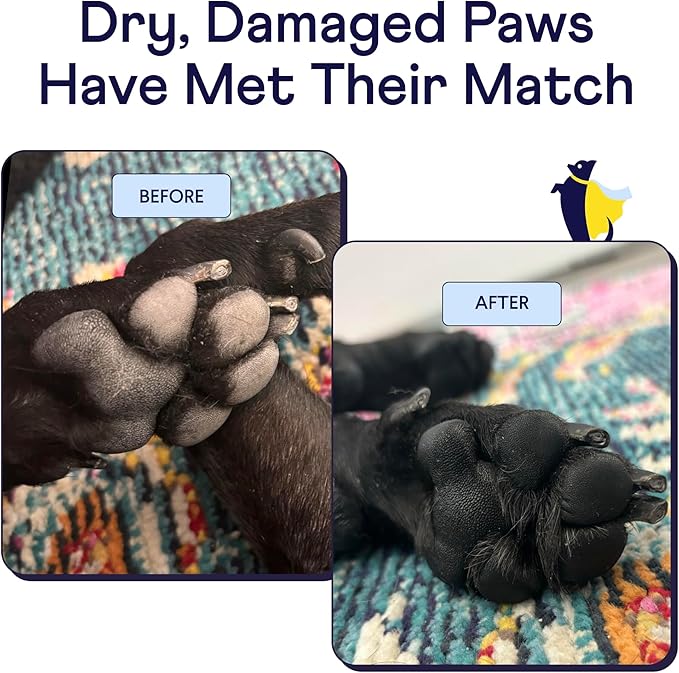 Finn Paw Hero | Natural Revitalizing Dog Paw Balm | Protect, Nourish & Repair from Wear, Damage & Dryness - 1.75 oz