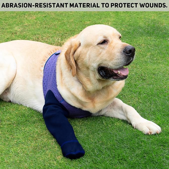 COODEO Dog Socks to Prevent Licking Paws, Healing Boots & Paw Protectors with Non-Slip Bottoms for Wound Protection, Waterproof Sleeve Shoes for Licking（Purple，L_Left