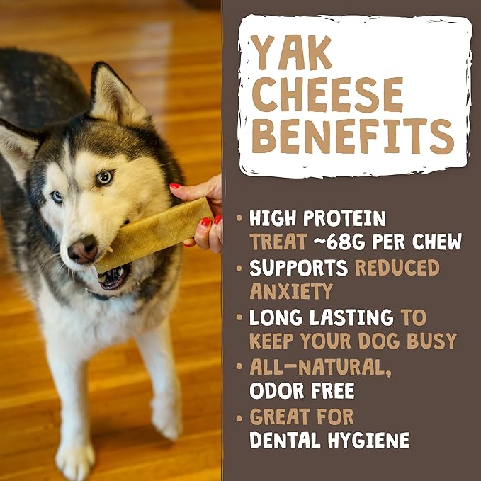 Mighty Paw Yak Cheese Chews for Dogs - All-Natural Long Lasting Pet Treats - Odorless Limited-Ingredient Chews for Puppies & Power-Chewers (Medium, 4 Pack)