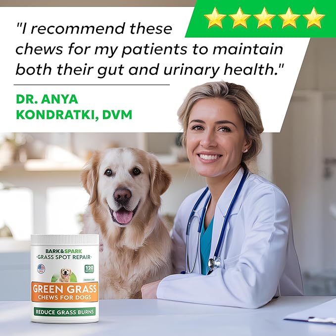 BARK&SPARK Green Grass Chews - Pee Grass Spot Saver Caused by Dog Urine - Urine Neutralizer for Lawn, Gut Health Probiotics & Digestive Enzymes,Lawn Burn from Dog Urine, Grass Burn Spot Chews (240Ct)