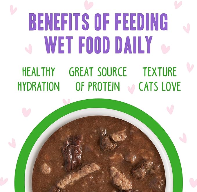 B.F.F. OMG - Best Feline Friend Oh My Gravy!, Tuna & Lamb Lights Out with Tuna & Lamb, 5.5oz Can (Pack of 8)
