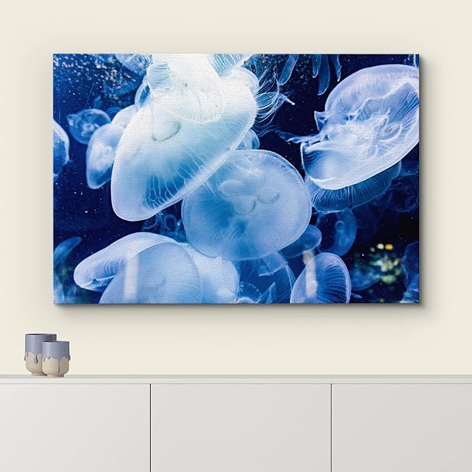 wall26 Canvas Print Wall Art Translucent X-Ray Tropical Ocean Jellyfish Nature Animals Photography Realism Rustic Scenic Landscape Wilderness Earth for Living Room, Bedroom, Office - 12"x18"