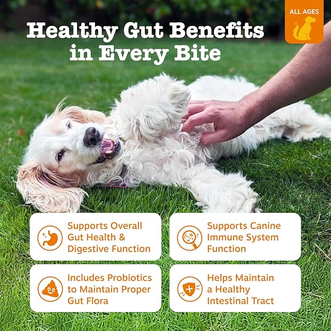 Zesty Paws Probiotics for Dogs, Digestive Enzymes Gut Flora, Digestive Health, Diarrhea & Bowel Support, DE111, Dog Probiotic Soft Chew for Pet Immune System, Pumpkin, 250 Ct