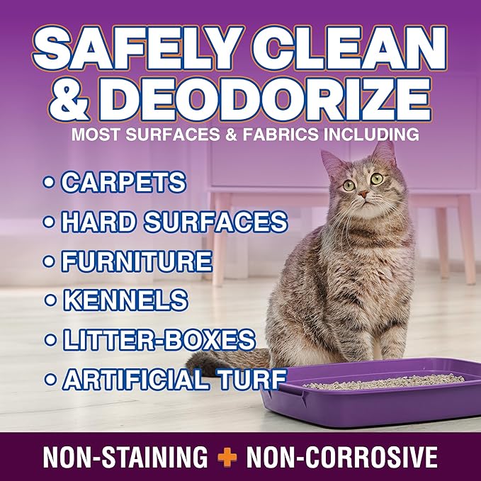 OdorPet Pet Stain Remover and Odor Eliminator - 16 Oz Ready To Use Spray, Non Staining, Professional Strength, Black Cherry Scent by Alpha Tech Pet