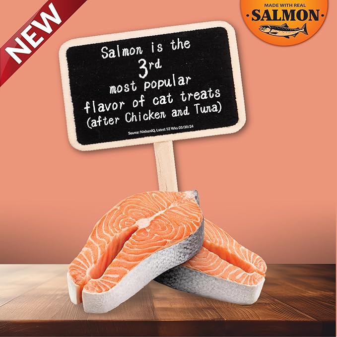 INABA Salmon Churu Cat Treats, Lickable, Squeezable Creamy Purée Cat Treat with Green Tea Extract & Taurine, 0.5 Ounces Each Tube, 24 Tubes (4 per Pack), Salmon with Chicken Recipe