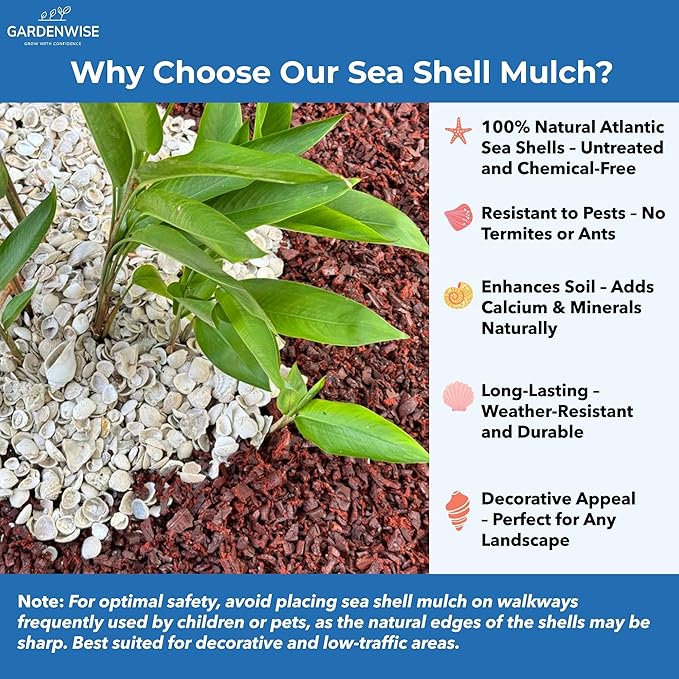 Natural Organic Sea Shell Mulch for Gardens and Landscaping – Decorative and Nutrient-Rich, 0.5–3-Inch Shells, Perfect for Indoor and Outdoor Use (2 CF - 56 L - 60 QTS)