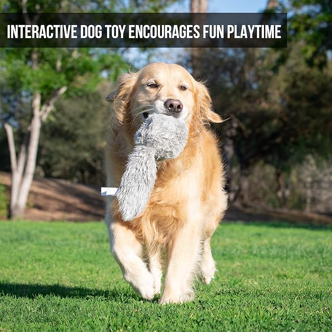 Hyper Pet Doggie Tail Interactive Plush Dog Toys (Wiggles, Vibrates, and Barks, Stimulating Play)