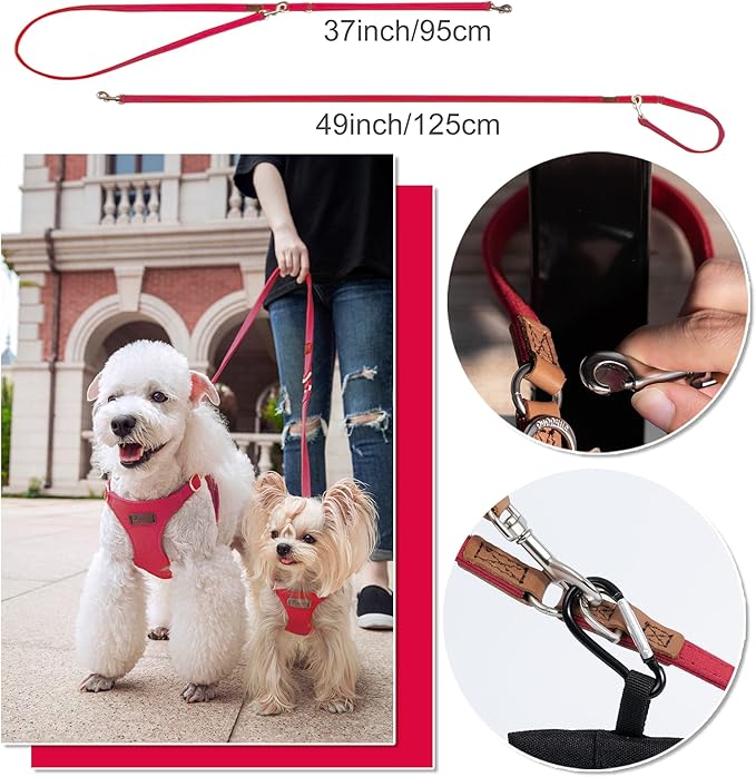 Puppytie No Pull Small Dog Harness with Multifunction Dog Leash,Lightweight Soft Adjustable No Choke Escape Proof Pet Harness Vest Pet Harness Vest,red-Camellia,S