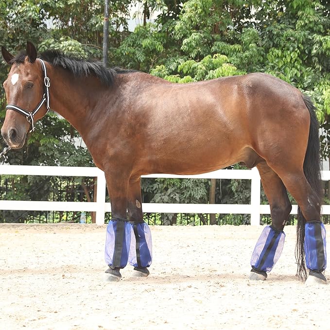 Horse Fly Boots Set of 4, Ultra Lightweight Breathable Mesh Leg Wraps, Non-Slip Fit, Reduce Stomping, Universal Size, Ideal for Summer RoyalBlue