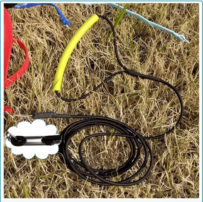 Pet Parrot Bird Harness Leash Adjustable Bird Flying Harness Traction Rope with Cute Wing for Parrots Pigeons Budgerigar Lovebird Cockatiel Mynah Outdoor Training Toy (XL, Blue)