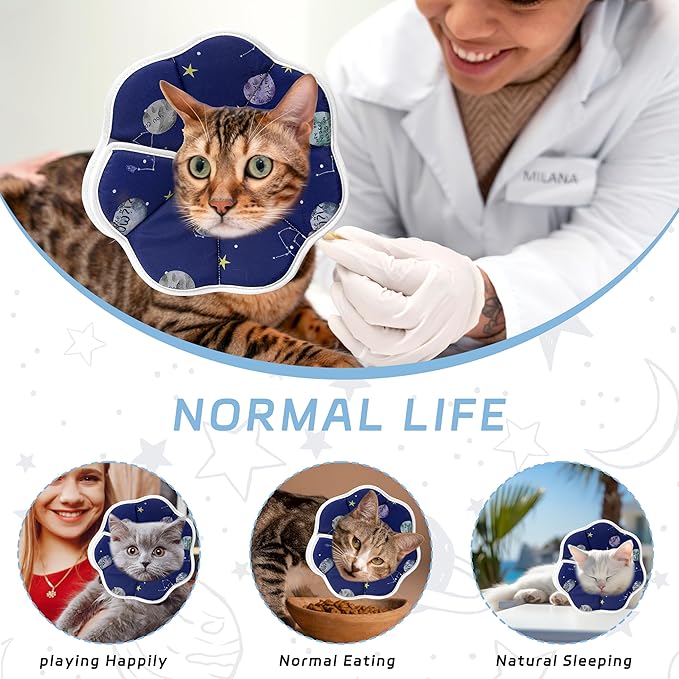 Soft Adjustable Cat Cone Collar - Comfortable Recovery Collar for Cats After Surgery (Blue, Small)