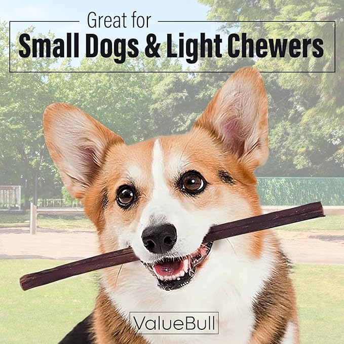 ValueBull Bully Sticks for Small Dogs, Thin 12 Inch, 25 Count - All Natural, Grass Fed, Single Ingredient, Long Lasting Dog Treats