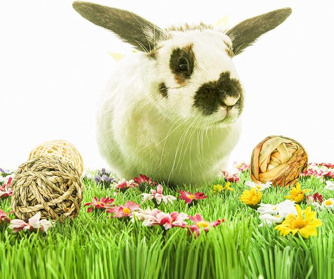 9 Pcs Small Animals Play Balls Rolling Activity Chew Toys Gnawing Treats for Rabbits Guinea Pigs Chinchilla Bunny Natural Balls, Pet Cage Entertainment Accessories (9 Pcs)