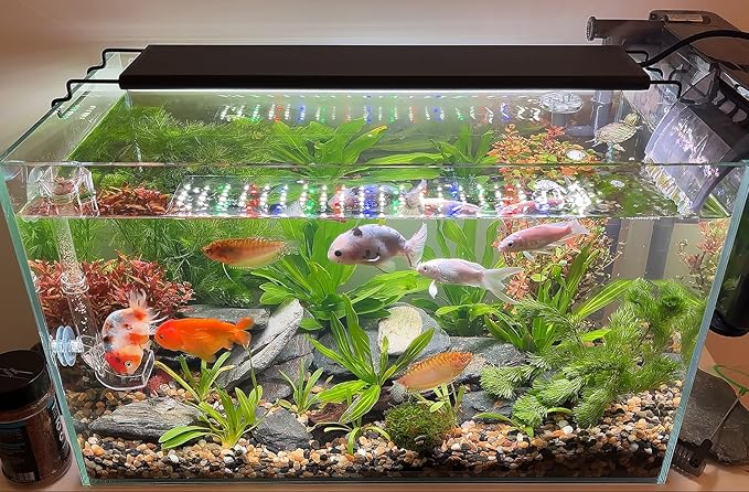 Advanced 7-Row LED Aquarium Light, Easy Setup Controller, Auto On Off Full Spectrum Fish Tank Light, 24/7 Lighting Cycle, 8 Colors, 10 Level Dimming, 26W for 18"-24" Freshwater Planted Tank
