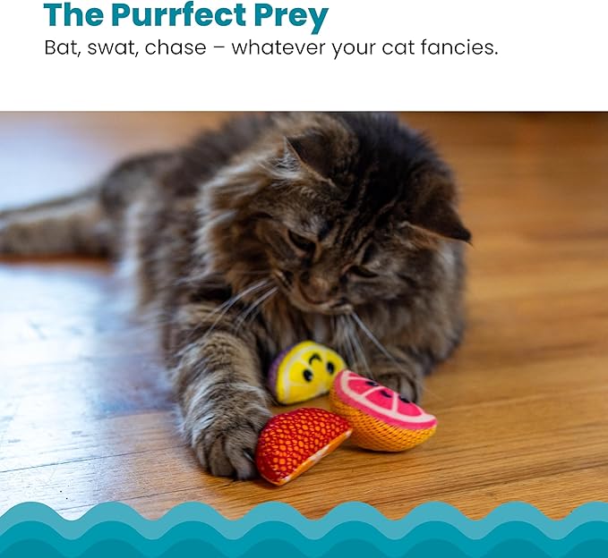 Catstages Dental Fruit Wedges 4 Pk, Soft and Textured Catnip Chew Toys That Help Clean Teeth, Multicolored