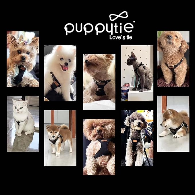 Puppytie No Pull XXS Puppy Harness with Multifunction Dog Leash,Soft Adjustable No Choke Escape Proof Pet Harness Vest,Black,XXS