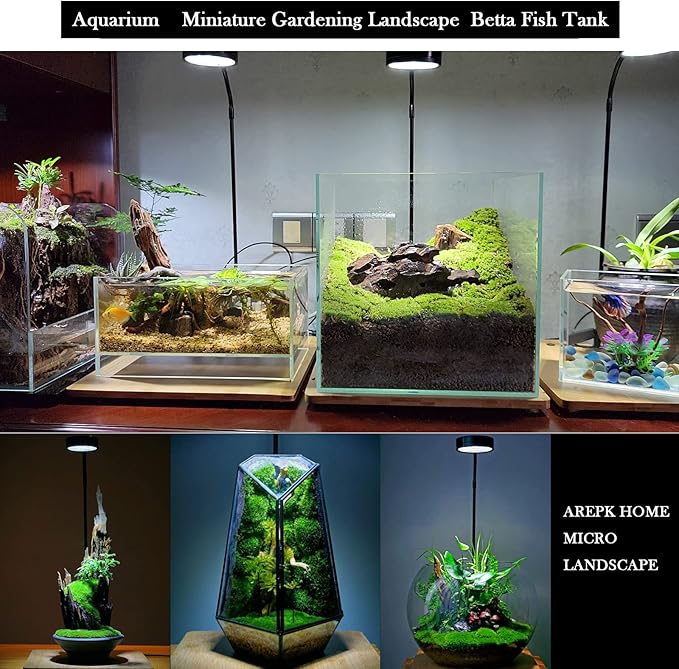 Aquarium Light Full Spectrum LED, for Under 3 Gallon Fish Tank, Light with Timer Auto On/Off, Betta Fish Tank,Indoor Plant Growth, Potted Plants, Succulent, Miniature Gardening Landscape (5)