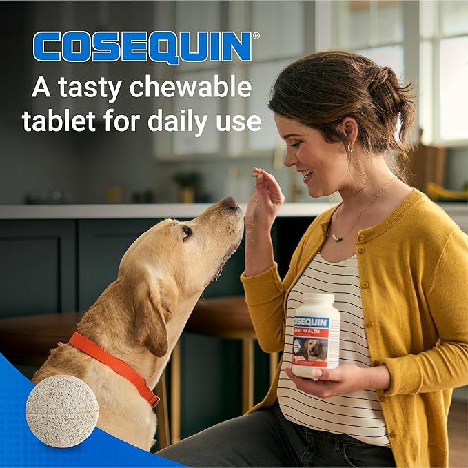 Nutramax Cosequin Maximum Strength Joint Health Supplement for Dogs - With Glucosamine, Chondroitin, and MSM, 60 Chewable Tablets
