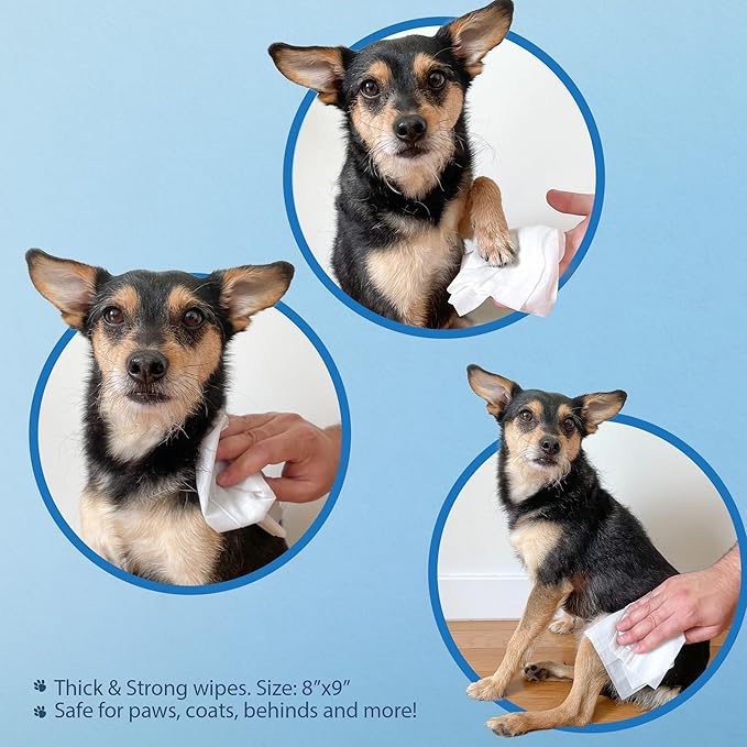 Best Pet Supplies Pet Wipes for Dogs - Dog Wipes Cleaning Deodorizing, for Coats, Ears, Paws – Refreshing, Cucumber 100 Count