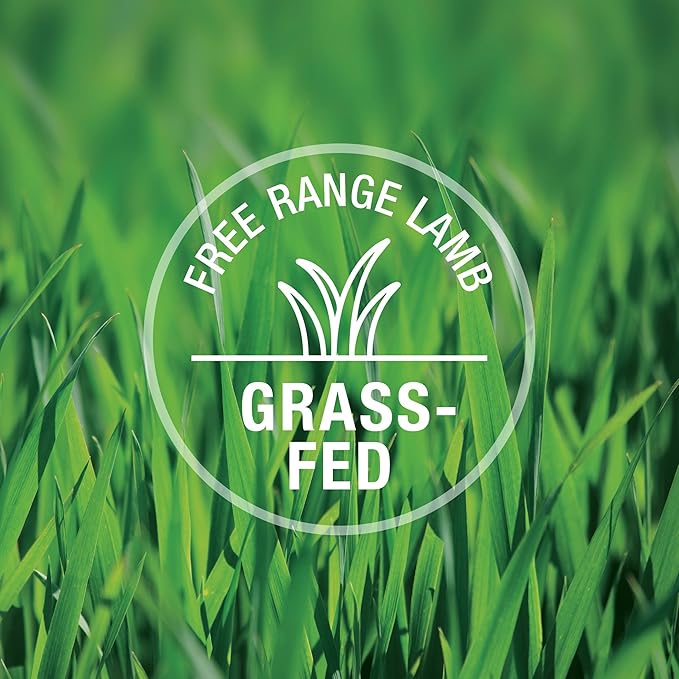 Feline Natural New Zealand Canned Catfood Wet Food, High-Meat, Low-Carb, & Grain Free Cat Food Wet, Lamb Feast, 3 oz, Pack of 24