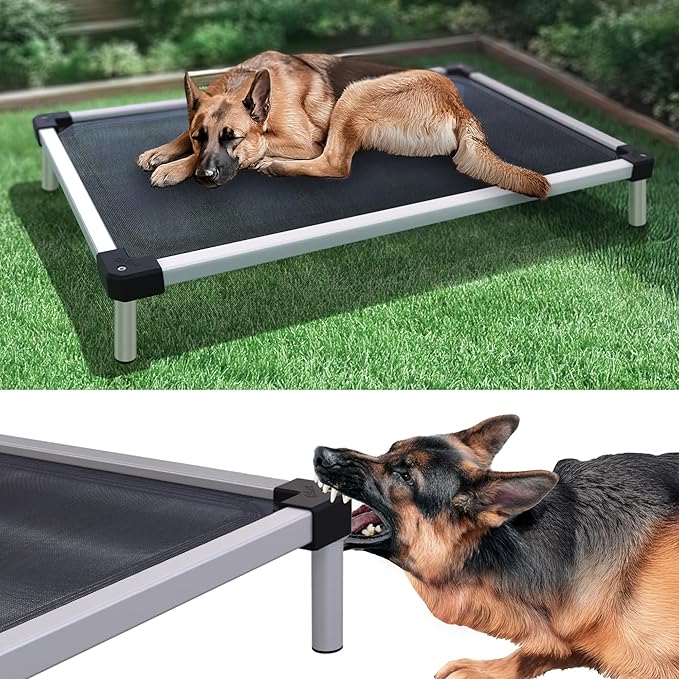 FXW TitanNest Chew-Proof Elevated Dog Bed, Raised Cot for Indoor/Outdoor/Camping Use, Durable & Waterproof Cooling Pet Bed for Large Dogs, 50.0" L x 31.0" W x 7.3" H, Black