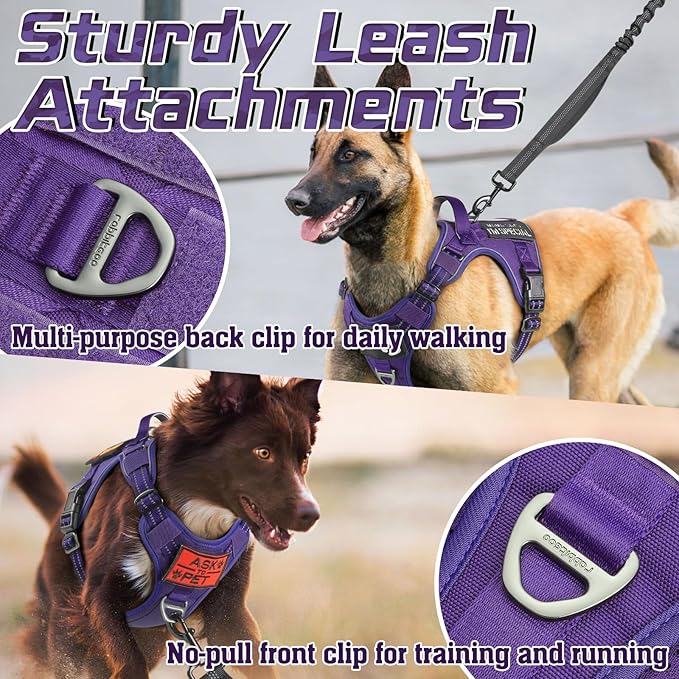 rabbitgoo Tactical Dog Harness for Small Dogs, No Pull Military Service Vest with Handle & Molle, Easy Control for Training Walking, Adjustable Reflective Straps, Purple, S
