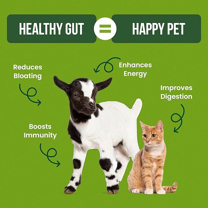 Pet Probiotics for Dogs, Cats, Horses, Goats, Cows & Pigs | Multi Species Dispersible Powder | Supplements for Digestive Health | Cat & Dog Probiotics | Vet Approved & Made in USA | 20 oz | Pair Pet