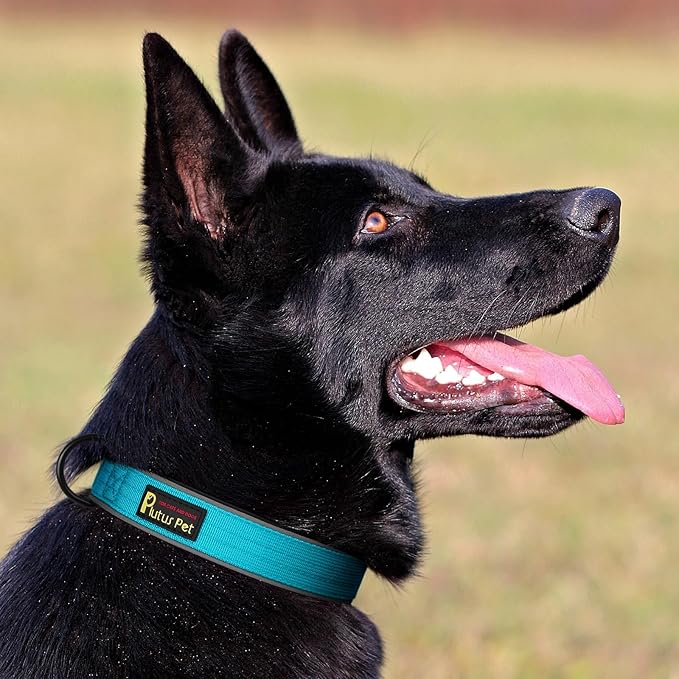 Plutus Pet Tactical Dog Collar, Reflective, Adjustable Heavy Duty Dog Collar, Soft Padded and Comfortable, for Small Medium and Large Dogs (Cyan, XS)