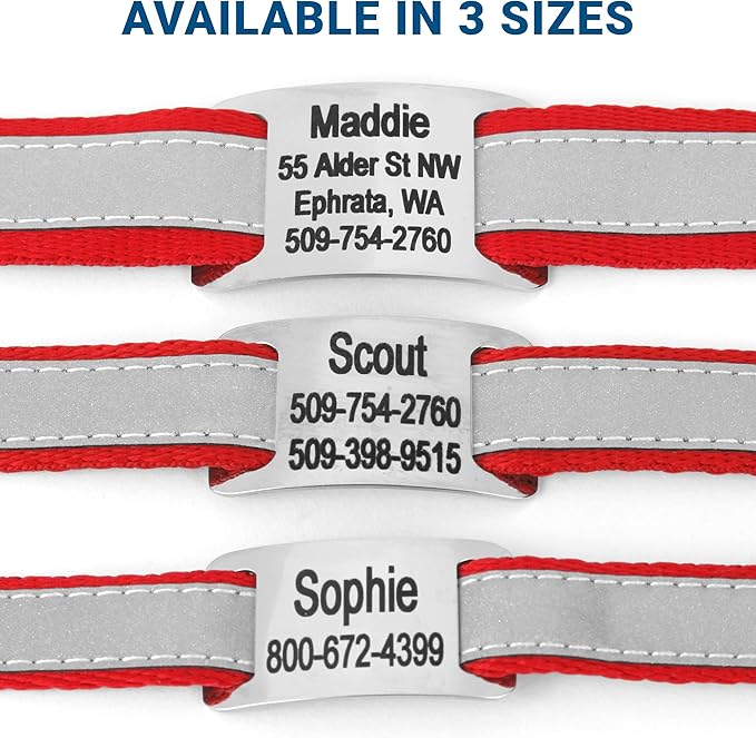 GoTags Reflective Personalized Dog Collar with Nameplate, Adjustable Dog Collar with Custom Engraved Steel Slide On Pet ID Tag, Silent, No Noise Dog Tag for Large Medium or Small (Red, Small)
