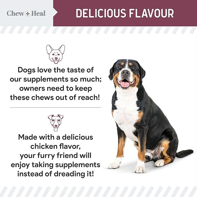 12-in-1 Multivitamin for Senior Dogs - 60 Senior Dog Vitamin and Supplement Soft Chews for Hip and Joint - Advanced Formula with Glucosamine, Omega 3,6,9, Vitamins, Probiotics - Made in The USA