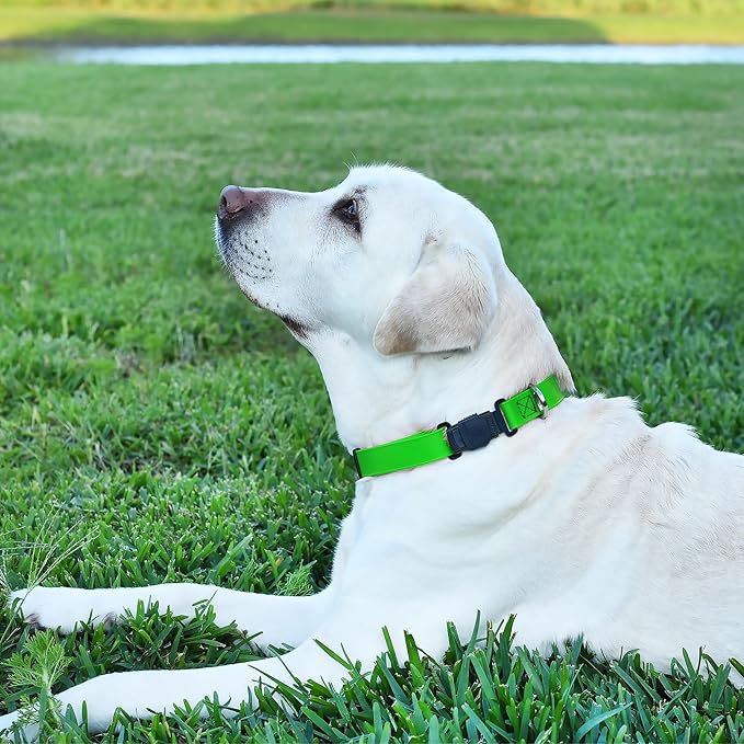 Dogline Biothane Waterproof Dog Collar with Herm Sprenger Stainless Steel Quick Release Buckle – Heavy Duty Tactical Durable Collar for Dogs – Comfortable and Safe Pet Collar, W 3/4" L 12-19", Green